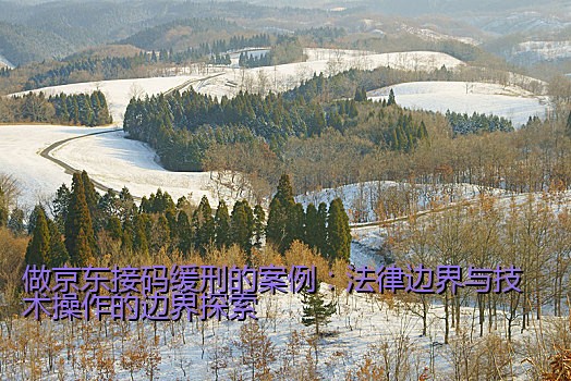 在线验证码接码短信怎么发：实用指南与操作流程
