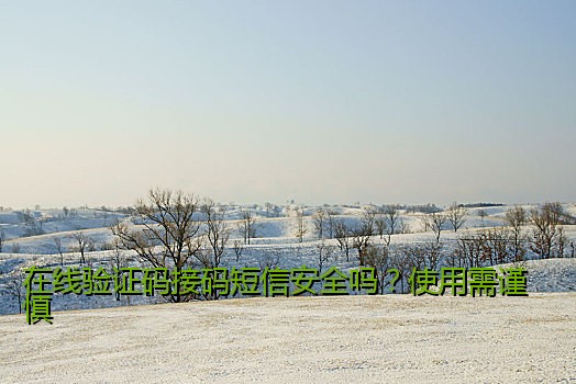在线验证码接码短信安全吗？使用需谨慎