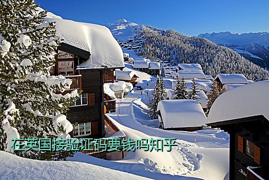 在英国接验证码要钱吗知乎