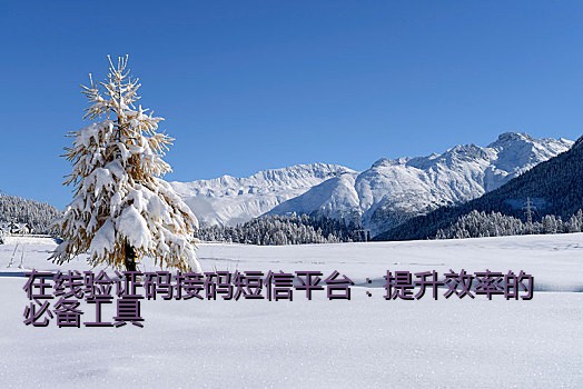 在线验证码接码短信平台：提升效率的必备工具