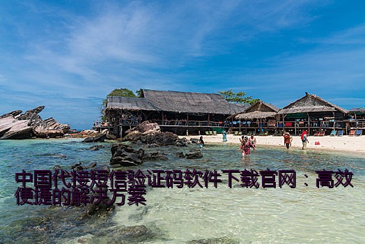 中国代接短信验证码软件下载官网：高效便捷的解决方案