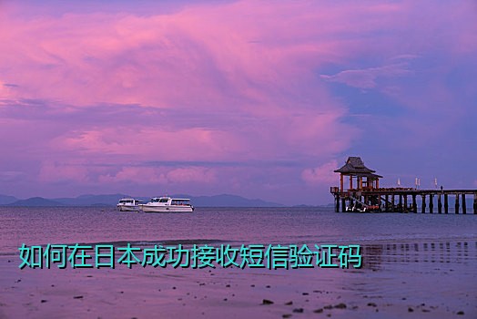 如何在日本成功接收短信验证码