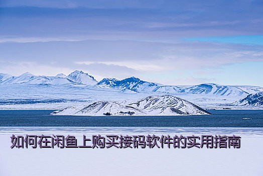 如何在闲鱼上购买接码软件的实用指南