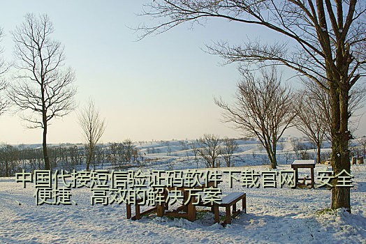 中国代接短信验证码软件下载官网：安全、便捷、高效的解决方案