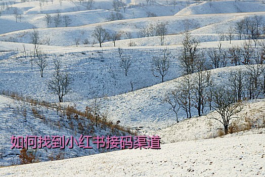 如何找到小红书接码渠道