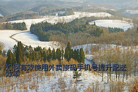 如何有效使用外卖接码手机号提升配送效率