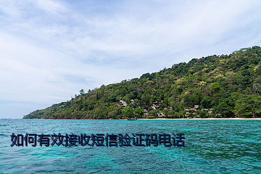 如何有效接收短信验证码电话