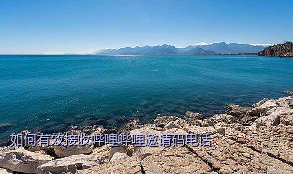 如何有效接收哔哩哔哩邀请码电话