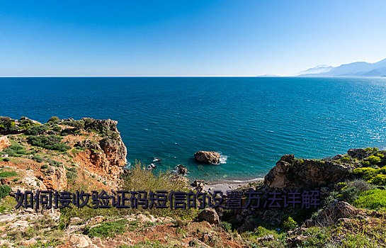 如何接收验证码短信的设置方法详解
