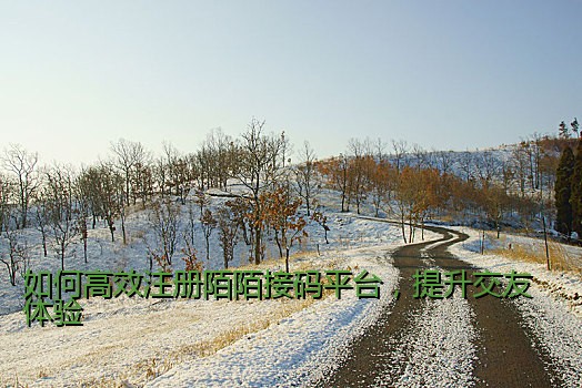 如何高效注册陌陌接码平台，提升交友体验