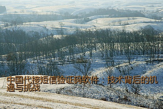 中国代接短信验证码软件：技术背后的机遇与挑战