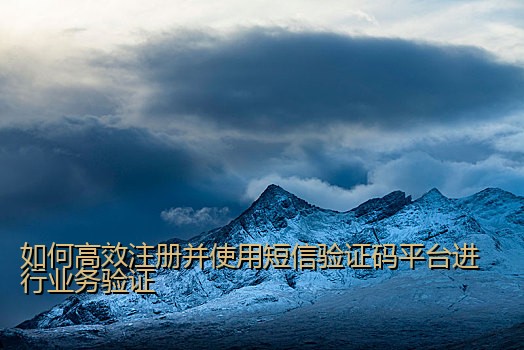 如何高效注册并使用短信验证码平台进行业务验证