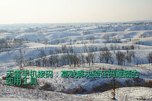 如何高效获取中国手机号在线接码服务