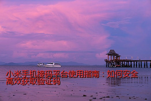 小米手机接码平台使用指南：如何安全高效获取验证码