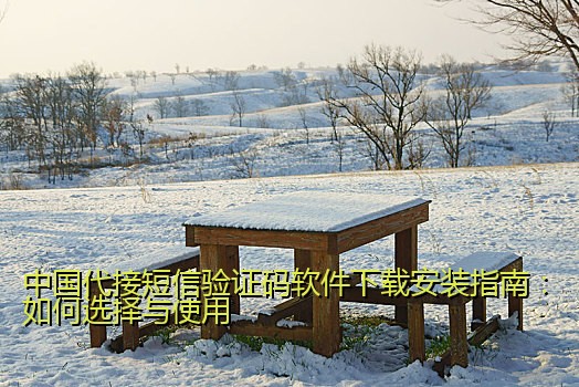 中国代接短信验证码软件下载安装指南：如何选择与使用