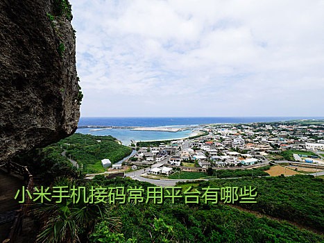 小米手机接码常用平台有哪些