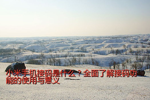 小米手机接码是什么？全面了解接码功能的使用与意义