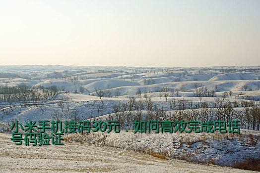小米手机接码30元：如何高效完成电话号码验证