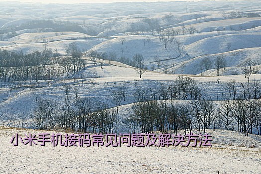 小米手机接码常见问题及解决方法