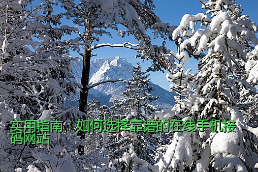 小米手机接码用途与实际应用分析