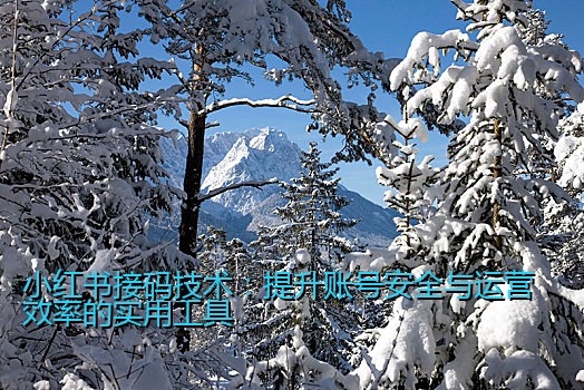 小红书接码技术：提升账号安全与运营效率的实用工具