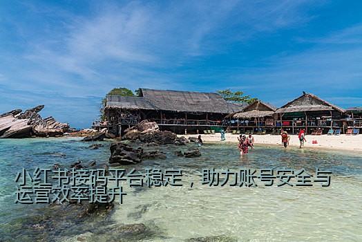 小红书接码平台稳定，助力账号安全与运营效率提升