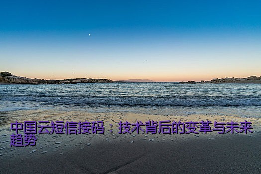 中国云短信接码：技术背后的变革与未来趋势