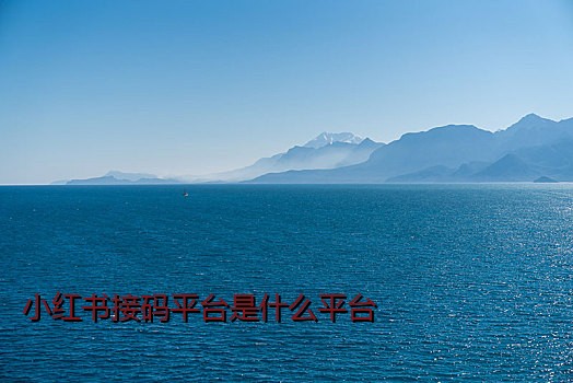 小红书接码平台是什么平台