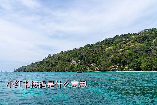 小红书接码是什么意思