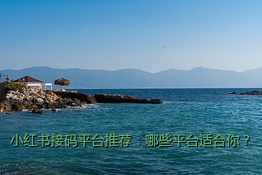 小红书接码平台推荐：哪些平台适合你？