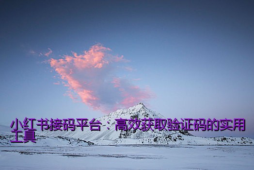 小红书接码平台：高效获取验证码的实用工具