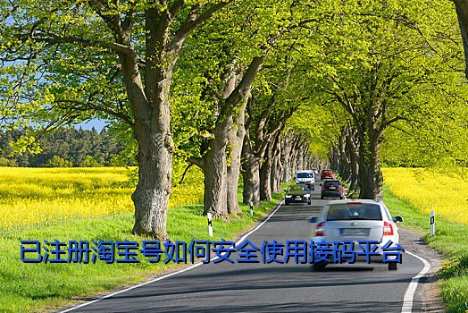 已注册淘宝号如何安全使用接码平台