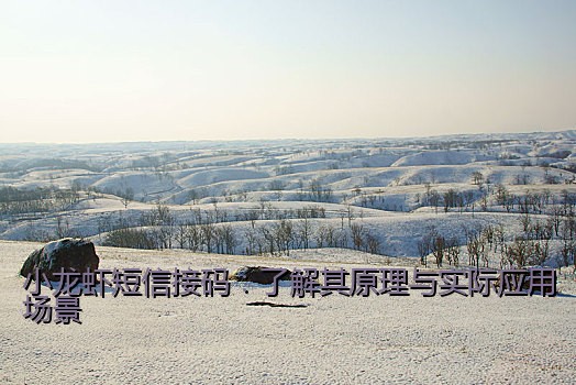 小龙虾短信接码：了解其原理与实际应用场景
