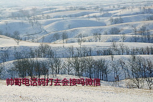 帅哥电话码打去会接吗微信