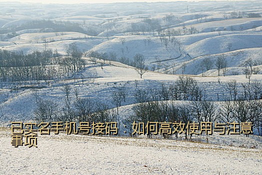 已实名手机号接码：如何高效使用与注意事项