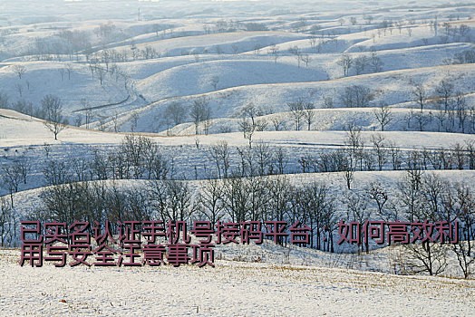 已实名认证手机号接码平台：如何高效利用与安全注意事项