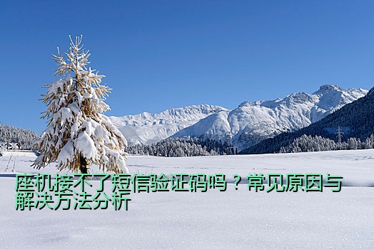 座机接不了短信验证码吗？常见原因与解决方法分析