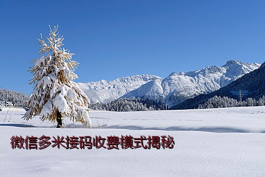 微信多米接码收费模式揭秘