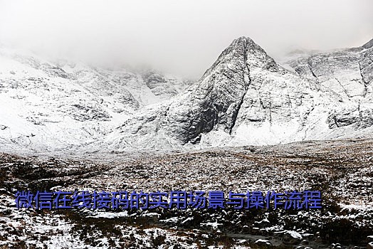 微信在线接码的实用场景与操作流程