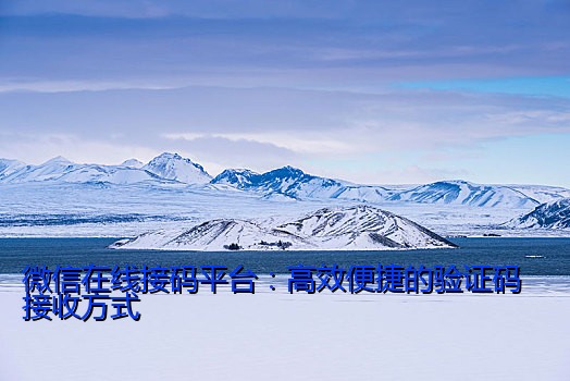 微信在线接码平台：高效便捷的验证码接收方式