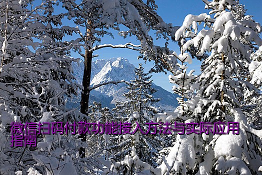 微信扫码付款功能接入方法与实际应用指南