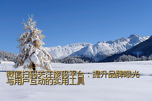 微信扫码关注接码平台：提升品牌曝光与用户互动的实用工具