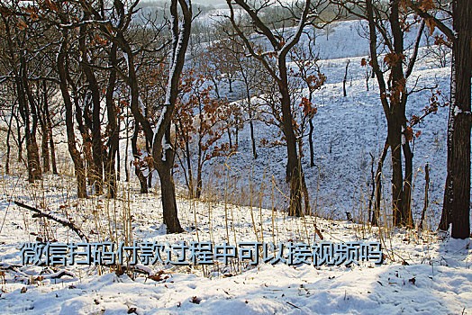 微信扫码付款过程中可以接视频吗