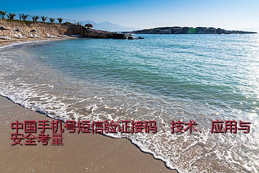 中国手机号短信验证接码：技术、应用与安全考量