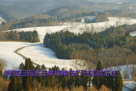 微信扫码关注单接单技巧与实战方法