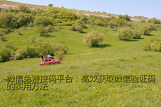 微信接夺宝码平台的运作模式与用户体验