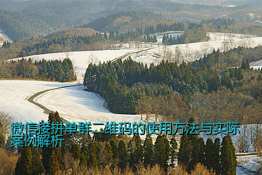 微信接拼单群二维码的使用方法与实际案例解析