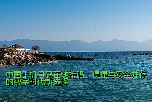 中国手机号码在线接码：便捷与安全并存的数字时代新选择