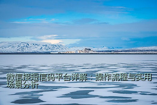 微信接短信码平台详解：操作流程与实用场景分析