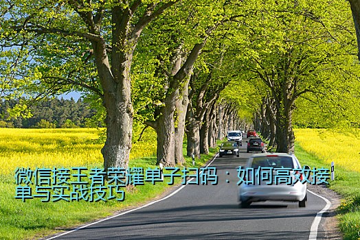 微信接王者荣耀单子扫码：如何高效接单与实战技巧